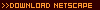 Download Netscape